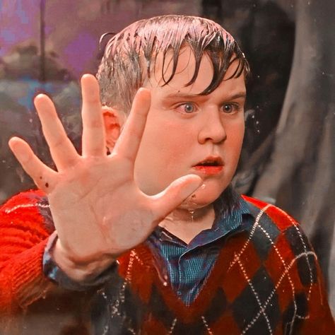 Harry Potter Dudley, Dudley Dursley, The Philosophers Stone, Philosopher's Stone, Harry Potter Icons, Philosophers Stone, Philosophers, Harry Potter, Stone