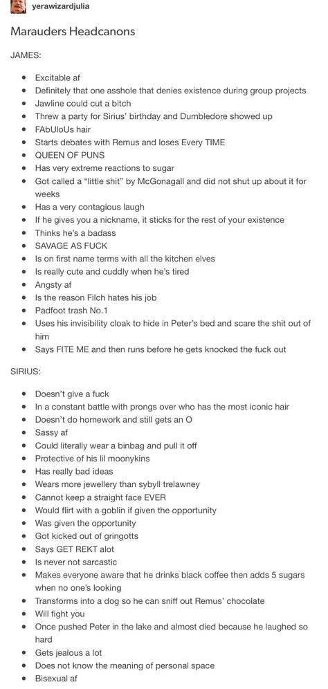 Sirius Black Eyeliner, James Potter Headcannons, James Potter Quidditch, James Potter Headcanons, Sirius Black Headcanon, James And Sirius, Sirius Raising Harry, Sirius Black Band Au, Sirius Black Personality