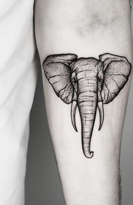 Elephant Head Tattoo, Inner Elbow Tattoos, Elephant Tattoo Design, Simple Tattoo Designs, Simple Tattoo, Elephant Tattoo, Elephant Tattoos, Popular Tattoos, Blackwork Tattoo