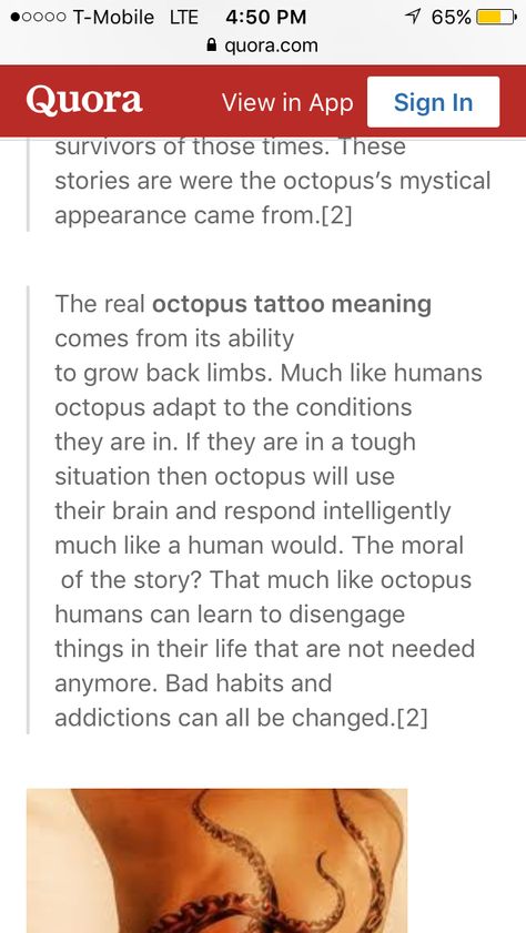 Meaning Of Octopus Tattoo, Octopus Tattoos Meaning, Octopus Tattoo Meaning, Punctuation Tattoo Meaning, Mermaid Octopus Tattoo, Octopus Symbolism, Octopus Meaning, Wanderer Tattoo, Tattoo Buddhist