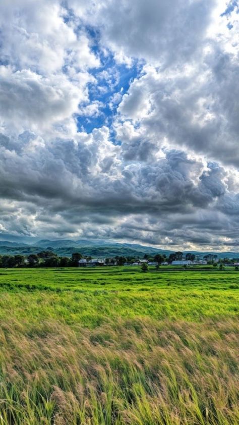 Hamparan sawah dan pegunungan di kampung