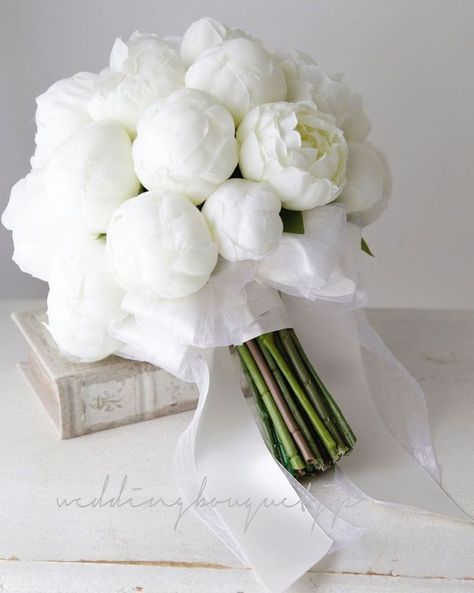 Wedding Peonies Decoration, Bride Flowers Bouquet, Flower For Bride, White Peony Bouquet Wedding, Bride Flower Bouquet, Princess Wedding Theme, Brides Flowers Bouquet, White Peonies Bouquet, Elegant Wedding Bouquets