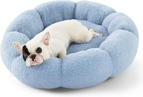 Amazon.com : Lesure Calming Small Dog Bed - Flower Donut Round Fluffy Puppy Bed in Plush Teddy Sherpa, Non-Slip Cute Flower Cat Beds for Indoor Cats, Small Pet Bed Fits up to 25 lbs, Machine Washable, Grey 23" : Pet Supplies Flower Donut, Heated Cat Bed, Small Dog Bed, Cute Dog Beds, Small Pet Bed, Puppy Bed, Round Dog Bed, Fluffy Puppy, Bed Fabric