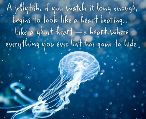 The Thing About Jellyfish, Child's Play Quotes, Jellyfish Quotes, Jellyfish Facts, Feel Good Pictures, Spirit Animal Meaning, Jellyfish Tank, Jellyfish Tattoo, Jellyfish Art