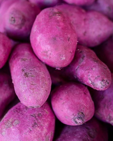 Purple Yam, known locally as Ube, for sale a public market in Tagaytay. Ube Potato, Ube Ice Cream, Ube Recipes, Butter Mochi, Salmon Potato, Purple Yam, Waffle Cookies, Lasagna Pasta, Lunch Appetizers