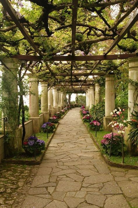 Villa San Michele Capri, Taman Vintage, Outdoor Walkway, Capri Italy, San Michele, Plants And Flowers, Sorrento, Pretty Places, Shade Garden