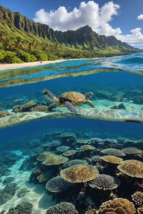 🌊 Paradise Preserved: Marine Conservation Efforts in Hawaii 🐢 Conservation Aesthetic, Ocean Biome, Mountain Ecosystem, Marine Species, Marine Photography, Ocean Habitat, Hawaii Activities, Sustainable Fishing, Hawaii Ocean