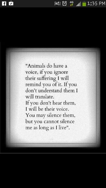 Reason why I want to be a vet tech. Animals need a voice Not One More Vet, Vet Tech Week Quotes, Vet Tech Inspirational Quotes, Vet Med Quotes, Bartending Quotes, Vet Tech Tattoo Ideas, Vet School Humor, Vet Tech Aesthetic, Veterinary Medicine Quotes