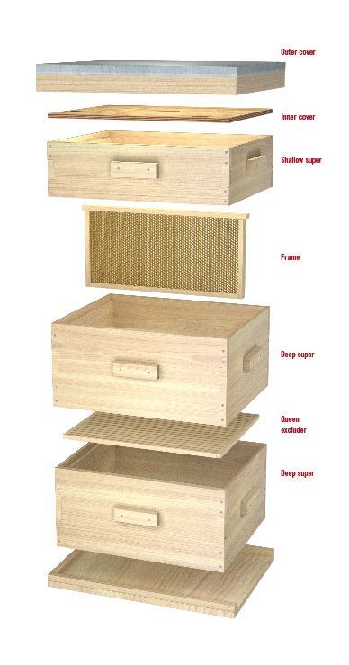 Backyard Bees, Bee Hives Diy, Bee Hives Boxes, Bee Hive Plans, Backyard Bee, Beekeeping For Beginners, Raising Bees, Beekeeping Equipment, Backyard Beekeeping