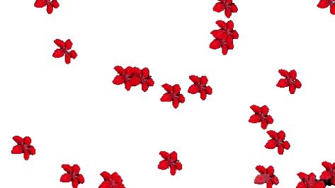 Red Carrd Backgrounds Gif, Red Pixel Gif, Red Gif Pfp, Red Header Gif, 2000s Gif, Long Gif, Flower Header, Black And White Gif, Star Gif