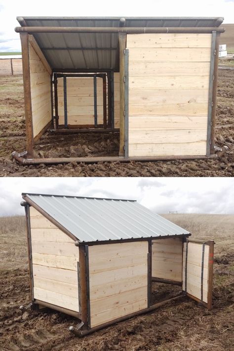 Palouse Ranches also builds smaller shelters for dogs and small livestock, such as goats and pigs! This custom shelter is partially enclosed for protection against the elements, has a door in the back, and is easy to move! Calf Shelter Ideas, Portable Livestock Shelter, Small Cow Shelter, Moveable Goat Shelter, Mini Cow Shelter, Movable Goat Shelter, Small Goat Shelter, Portable Goat Shelter, Donkey Enclosure