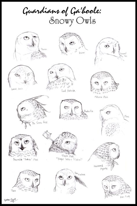 Snowy Owl Drawing, Guardians Of Ga'hoole, Nature Sketches, Snowy Owls, Barn Owls, Owl Books, Realistic Pencil Drawings, Drawing Tutorials For Beginners, Nature Sketch