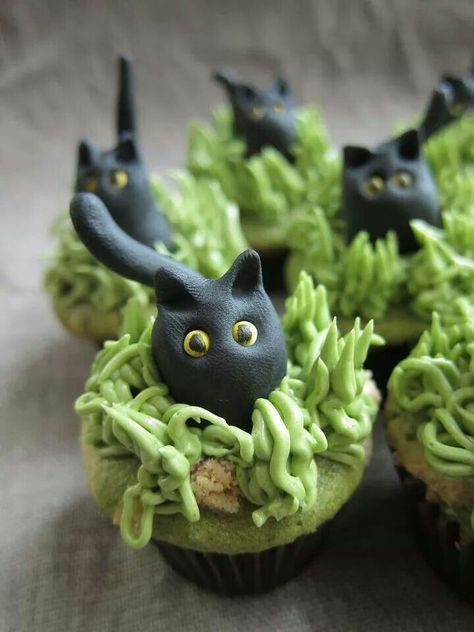 Cute Cupcakes! Cat Birthday Cupcakes, Cat Cupcake Toppers, Black Cat Cupcakes, Bunny Cupcake Toppers, Bunny Cupcake, Shaped Food, Dulces Halloween, Cat Cupcakes, Animal Cupcakes