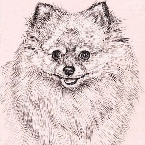 Django Tattoo, Memorial Gift Ideas, Dog Portrait Drawing, Pets Drawing, 강아지 그림, Drawing Cat, Dog Memorial Gift, Pink Home Decor, Drawing Ink