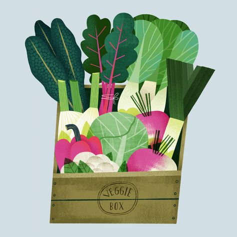 Animal Illustration Kids, Veggie Box, Food Illustration Design, Vegetable Illustration, 동화 삽화, Food Sketch, Food Illustration Art, Fruit Illustration, Illustration Food