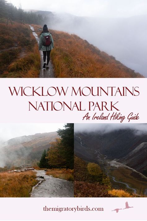 In this guide we give you all the information you need to plan your hiking day trip to the Wicklow Mountains National Park. Ireland Hiking, Driving In Ireland, Wicklow Mountains, Ireland Travel Guide, Europe Trip Itinerary, Hiking National Parks, Ireland Vacation, Park Trails, Hiking Destinations