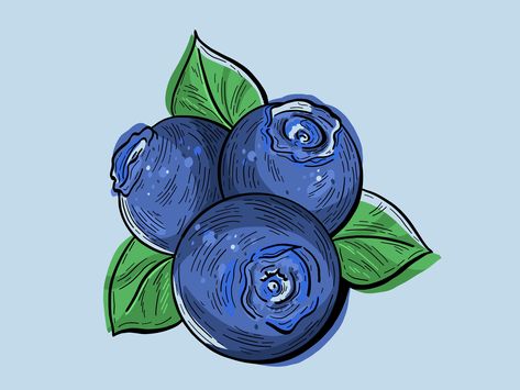 Organic Blueberry Illustration by Hoot Design Studio Blueberry Cartoon, Blueberry Illustration, Blueberry Design, Organic Blueberries, Restaurant Concept, Fruit Illustration, Chalkboard Art, Wooden Decor, Black Bear