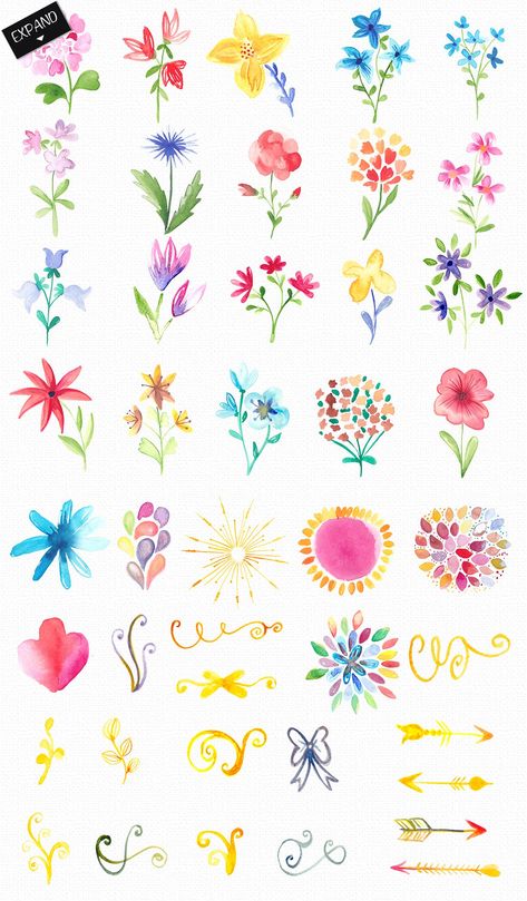 Watercolor Flowers and Decorations by AdinaNArt on @creativemarket Easy Floral Designs Paint, Watercolor Flower Easy, Flowers Watercolor Easy, Watercolor Flowers Tattoo, Painted Flowers Easy, Painting Flowers Easy, Watercolor Flowers Easy, Flower Painting Easy, Flower Calligraphy