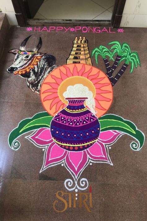 Mattu Pongal Kolam, Pongal Kolam Rangoli, Mattu Pongal, Pongal Kolam, Decoration For Party, Easy Rangoli Designs Videos, Rangoli Designs Photos, Rangoli Designs Simple Diwali, Rangoli Simple