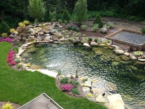 Recreational Pond, Small Backyard Ponds, Low Maintenance Backyard, Swimming Ponds, Pond Pool, Farm Pond, Water Gardens Pond, Pond Maintenance, Natural Swimming Ponds