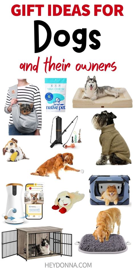 Find great gifts for a dog or their owner. If you're shopping for gifts for a dog lover or maybe looking for something fun for your own dog. This dog gift guide should help. Dog Gift Guide, Dog Gift, Busy Mom, Looking For Something, Pet Owners, Dog Owners, Dog Gifts, Gifts Ideas, Dog Lover