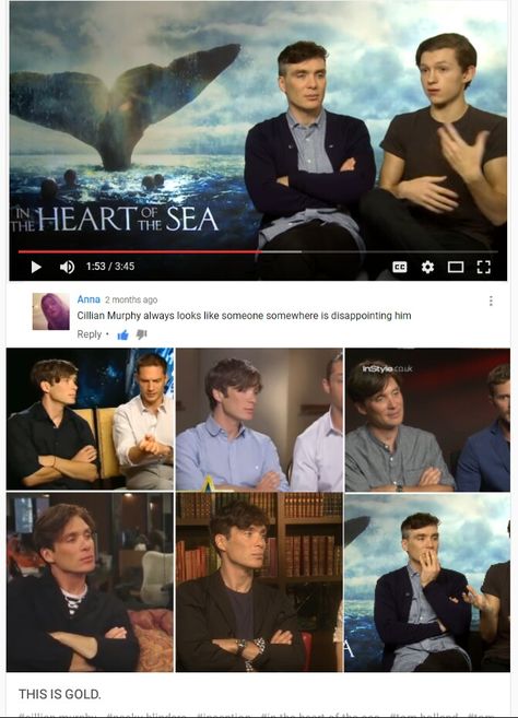 Disappointed Cillian Murphy - I am LIVINg for this meme lmao Peaky Blinders Tom Hardy, Cillian Murphy Meme, توم هاردي, Heart Of The Sea, Peaky Blinders Series, Peaky Blinders Quotes, Cillian Murphy Peaky Blinders, Batman Begins, Cillian Murphy