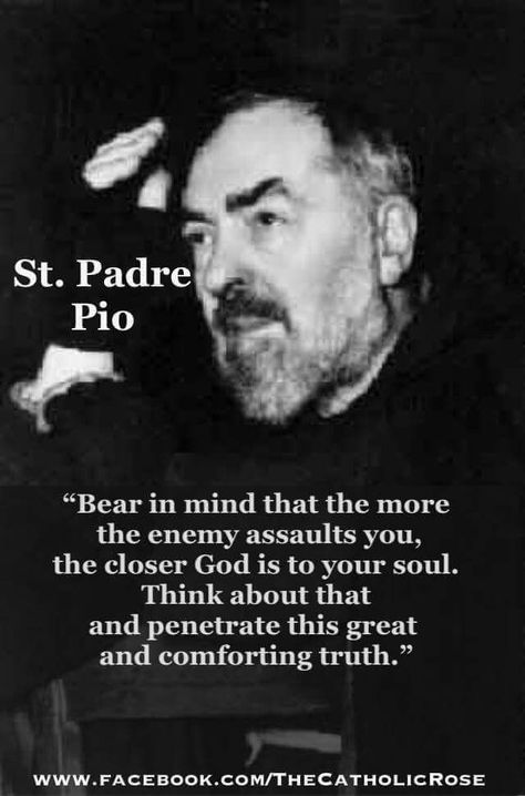 Padre Pio Quotes, St Padre Pio, Saint Quotes Catholic, Religious Pictures, Catholic Images, Saint Quotes, Catholic Quotes, Catholic Prayers, Religious Quotes