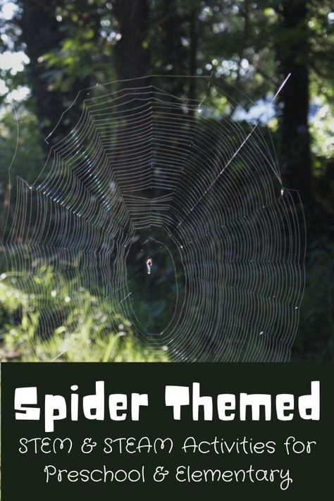 Spider STEM and STEAM Activities for Kids - Learn about a spider’s web through the list of STEAM activities. You’ll find spider themed science and spider themed math activities as well as a list of spider books at the end. Spiders Kindergarten Science, Very Busy Spider Activities, Forest School Spider Activities, Spider Science, Spider Activities For First Grade, Spider Curriculum Preschool, Spider Unit Study, Spider Math Activities, Spider Inquiry Kindergarten