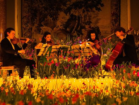 Here Is An Inside Look At The Upcoming Candlelight Spring Concerts Candlelight Concert, Gerard Manley Hopkins, Weekend In Nyc, Smelling Flowers, Floral Installations, Lake Union, Under The Rain, Fantasy Concept, Halcyon Days