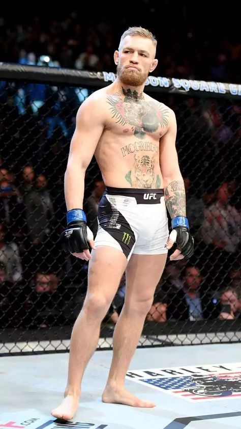 Ufc Conor Mcgregor, Mma Motivation, Mma Videos, Mma Girls, Boxing Images, Mma Workout, Funny Poses, Male Pose Reference, Ufc Fighters