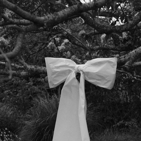 La Robe Club on Instagram: "A big silly bow 🎀🤍 @mattgodkinweddings @paloma.eventco @greyleigh.kiama" Bows Wedding Decor, Greyleigh Kiama, Wedding Drapery, Iconic Christmas, Giant Bow, Wedding Alters, Wedding Site, Wedding Bows, Big Bow