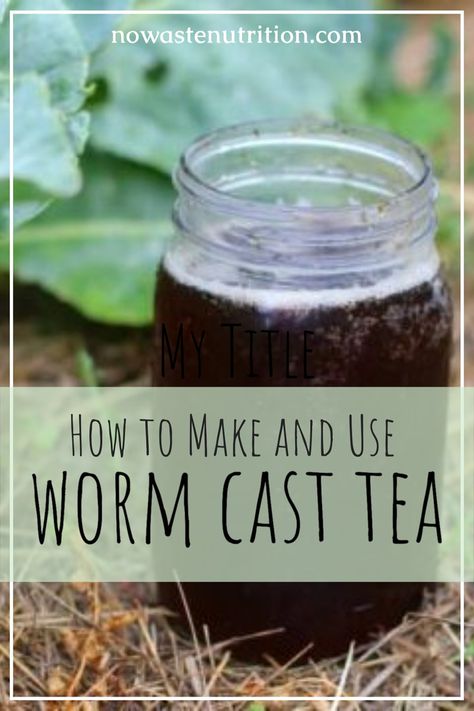 How to Make Worm Tea (for Gardens, Lawns, More) | No Waste Nutrition Worm Juice Compost, Worm Tea How To Make, How To Start A Worm Bed, Worm Castings How To Make, Worm Castings How To Use, Diy Worm Bin, How To Start A Worm Farm, Worm Juice, Daycare Garden