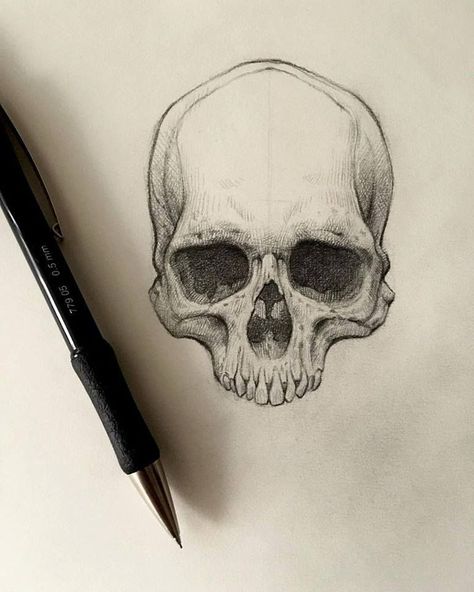 Small Skull Drawing, Creepy Skull Drawing, Skull Drawing Sketches, Character Tattoos, Skull Reference, Skull Sketch, Arte Cholo, Skull Art Drawing, Daily Sketch