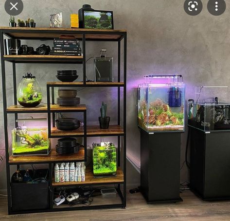 Aquarium Rack, Aquarium Cabinet, Turtle Tank, Have A Great Weekend, Aquascaping, Layout Inspiration, Cabinet Design, Aquarium Fish, Fish Tank