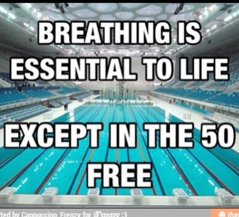 Competitive Swimming Quotes, Swim Team Quotes, Swimming Quotes Funny, Swimming Motivational Quotes, Swimmer Memes, Swimmer Quotes, Swim Quotes, Swim Inspiration, Swimming Jokes