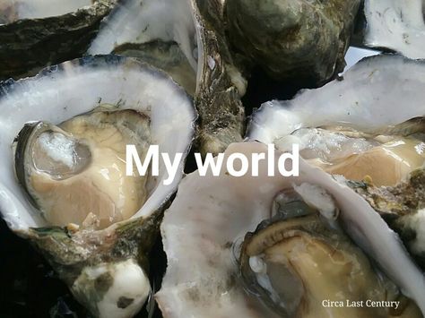 The world is my oyster The World Is My Oyster, Grape Leaves, Grapes, Stuffed Mushrooms, Ethnic Recipes, The World, Quick Saves