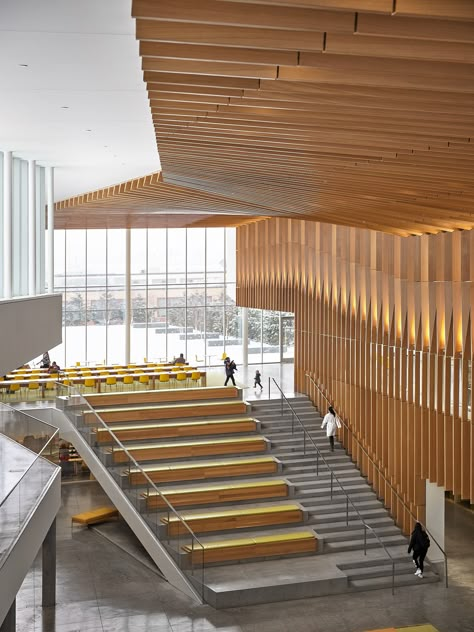 Cornell Vet College by Weiss/Manfredi photographed by architectural photographer Inessa Binenbaum — Inessa Binenbaum New York Architectural Photographer Knot Hairstyles, Atrium Design, College Architecture, Fancy Top, Urban Design Concept, Timber Architecture, Top Knots, Top Knot Hairstyles, Stairs Architecture