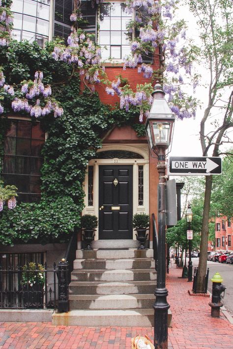 Window Box Decor, Wisteria House, Red Brick House Exterior, Beacon Hill Boston, Boston House, Box Decor, Red Brick House, Brick Exterior House, Willow Creek