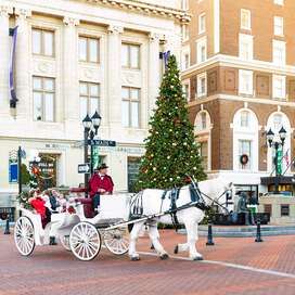 Downtown Greenville, SC at Christmas Swamp Rabbit Trail, Riverside City, Swamp Rabbit, Outdoor Ice Skating, City Tree, Southern Travel, Greenville South Carolina, Autumn Park, Plan A Trip