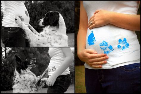 Dog Baby Announcement, It's A Boy Announcement, Gender Reveal Photos, Creative Pregnancy Announcement, Gender Announcements, Idee Babyshower, Baby Boy Announcement, Baby Presents, Mia 3