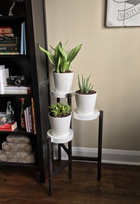 Ikea Satsumas Plant Stand Hack. Painted the drab bamboo legs! Ikea Satsumas, Satsumas Plant Stand, Ikea Plant Stand, Ikea Plants, Indoor Plant Shelves, Diy Ladder, Support Pour Plante, Regal Design, Diy Plant Stand