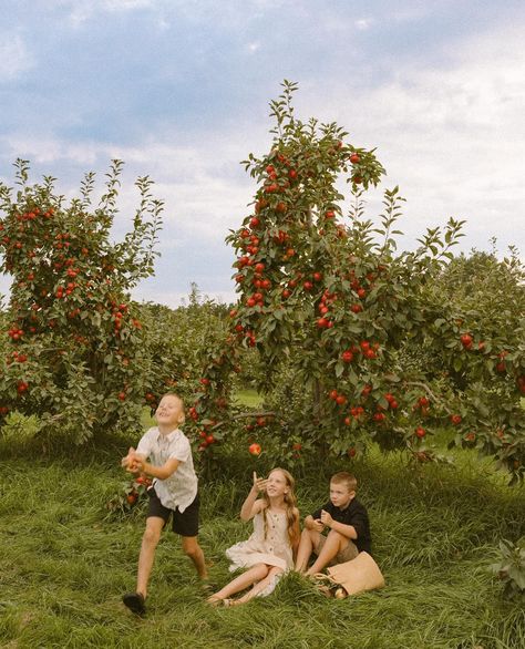 The Durant family at Jake’s Apple shack! I adore them so much and had the best time capturing these fun images of their family. Peach Picking Photoshoot, Apple Orchard Photography, Apple Orchard Pictures, Fall Mini Sessions, Apple Farm, Fall Mini, Fall Family Photos, Apple Orchard, Fall Photoshoot