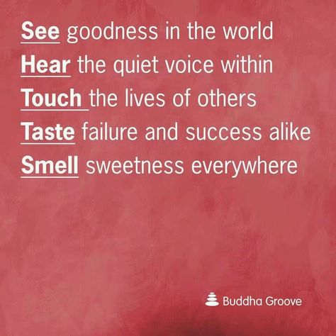 5 senses Buddha Groove, 5 Senses, Live In The Present, The Lives Of Others, Quotes And Notes, Jersey City, Spiritual Journey, Thoughts Quotes, Inner Peace