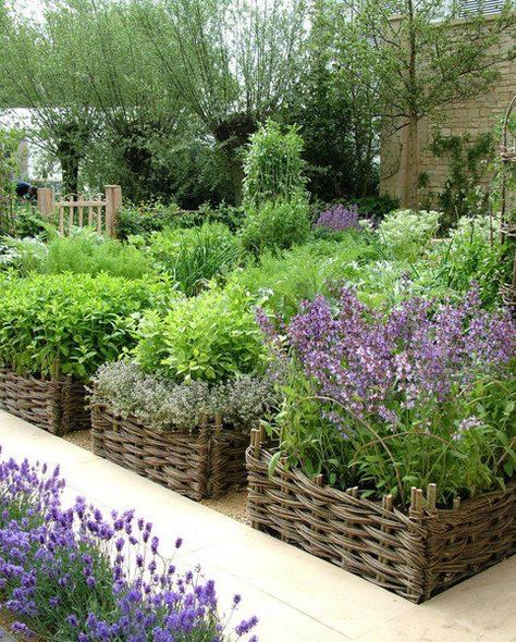 Raised Bed Herb Garden, Herb Garden Planter, Outdoor Herb Garden, Herb Garden Design, Herb Gardens, Garden Vines, Vegetable Garden Design, Garden Care, Gorgeous Gardens