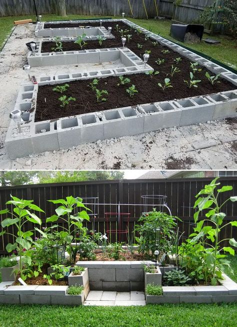 28 Best DIY raised bed gardens: easy tutorials, ideas & designs to build raised beds or vegetable & flower garden box planters with inexpensive materials! - A Piece of Rainbow #backyard #gardens #gardening backyard, landscaping, gardening tips, #urbangardening #gardendesign #gardenideas #containergardening #DIY #homestead homesteading #gardeningtips #woodworkingprojects #woodworkingplans Diy Raised Planter Boxes, Cinder Block Garden Bed, Raised Bed Gardens, Above Ground Garden, Box Planters, Raised Gardens, Gardening Backyard, Building Raised Beds, Cinder Block Garden