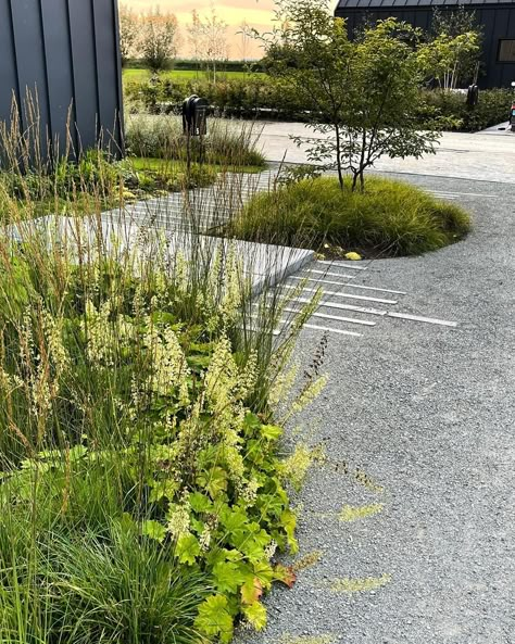 Nordic Garden, Garden Paving, Gravel Garden, Planting Design, Landscape And Urbanism, Natural Garden, Modern Landscaping, Small Gardens, Back Garden