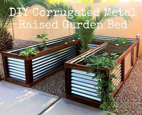 Beautiful Raised Garden Beds, Raised Vegetable Gardens, Diy Garden Bed, Metal Raised Garden Beds, Building A Raised Garden, Diy Raised Garden, Raised Garden Beds Diy, Gardening Hacks, Corrugated Metal