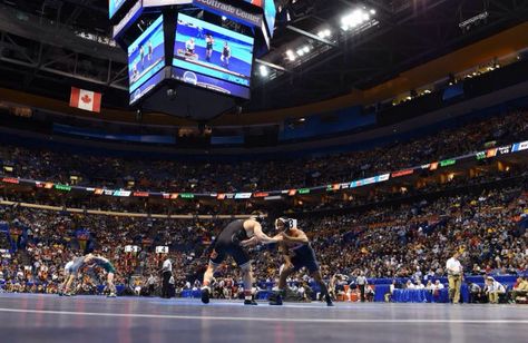 Ncaa Wrestling, Ncaa, Basketball Court, Wrestling, Quick Saves