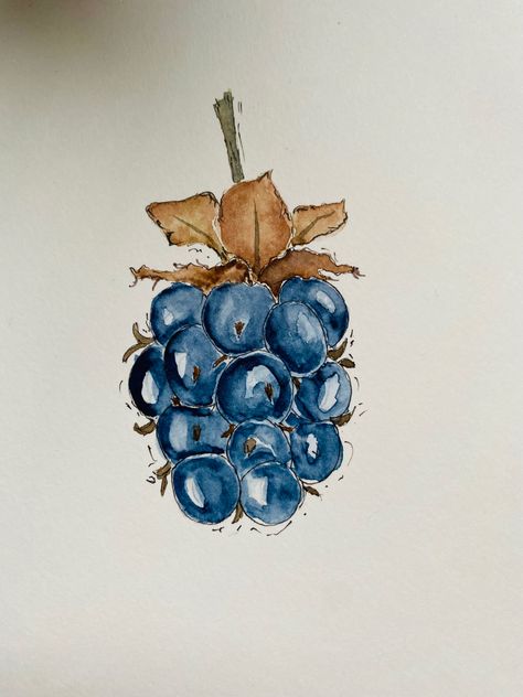 Watercolour Blackberries, Blackberry Sketch, Blackberries Drawing, Watercolor Blackberries, Blackberry Watercolor, Watercolour Berries, Blackberry Drawing, Blackberry Art, Fruit Calendar