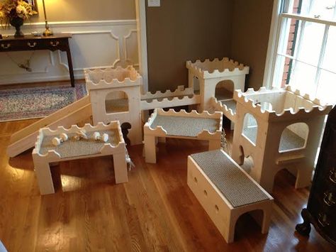 Ultimate castle playground, castle beds, and tunnel. Bunny Castle, Rabbit Castle, Indoor Rabbit House, Castle Images, Diy Bunny Toys, Rabbit Habitat, Bunny Hutch, Bunny Room, Rabbit Life